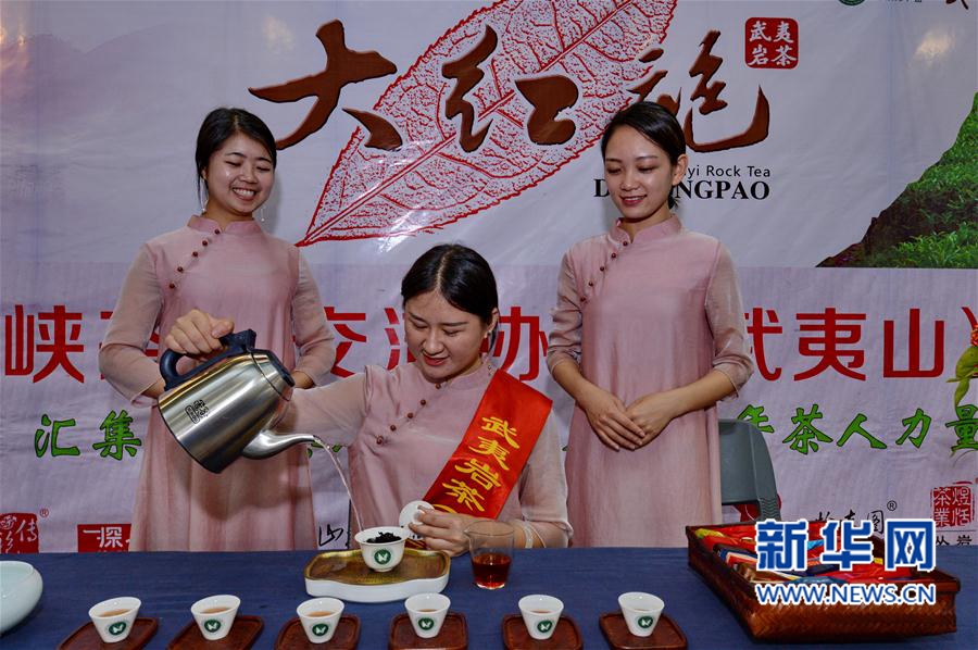 ʮŌú{ɰ(jng)Q(mo)ו(hu)_(ki)Ļ