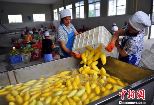 ɫꖿhMIâӹâɳȇҡε塡z