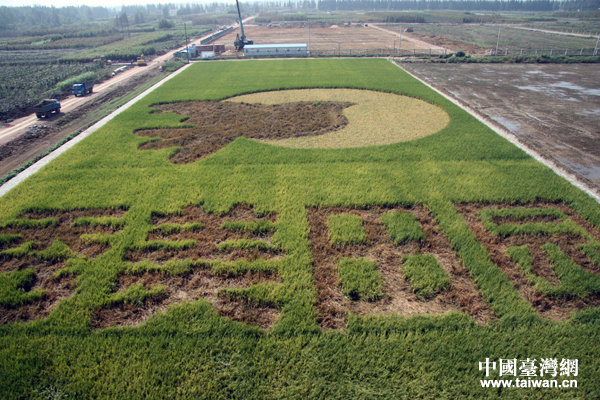 Տ]_(ti)r(nng)(chung)I(y)@(ni)һЇ_(ti)W(wng) Ȼ z