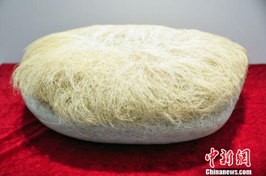 隕石化石“菜系”河北展出臺灣“生發石”受關注