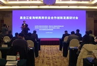 兩岸農業界人士齊聚黑龍江 共商龍臺農業合作愿景