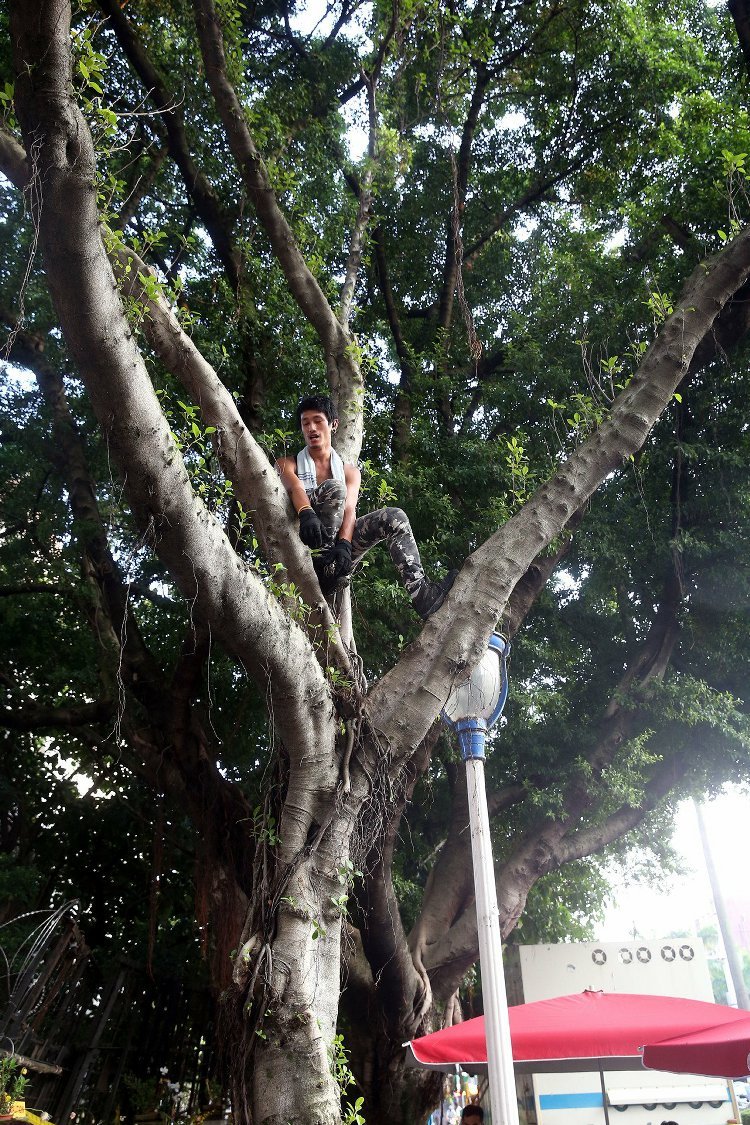 "白狼"張安樂攜抗日人士后代路過"教育部" 規勸學生 "白狼"張安樂攜抗日人士后代路過"教育部" 規勸學生