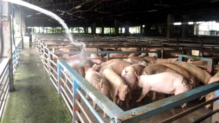 u(ni)il(f)ʳɑ] _W(wng)ѱʾ(dn)