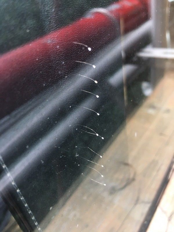 落后只怪別人進(jìn)步太快 綠營那些神邏輯讓臺網(wǎng)友都無奈 落后只怪別人進(jìn)步太快 綠營那些神邏輯讓臺網(wǎng)友都無奈