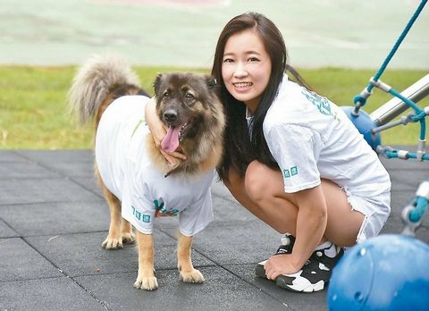 臺(tái)灣選戰(zhàn)拼創(chuàng)意:參選人文宣出奇招比誰“吸睛”