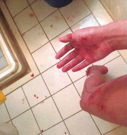 女子一刀刺死男友的松獅犬被起訴(圖)