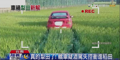 轎車失控沖稻田“犁地”15米車主不知所終(圖)