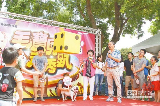 新北舉辦貓狗走秀如“星光大道”民眾搶著認養