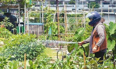 臺南人抗蚊的一天:防疫出現“城鄉差距”