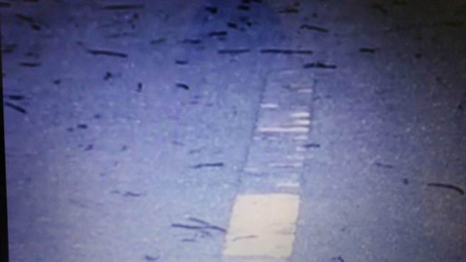 新北道路百只蚯蚓"集體大逃亡" 場面驚人嚇壞網友 新北道路百只蚯蚓"集體大逃亡" 場面驚人嚇壞網友