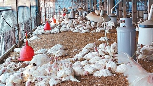 �_�������׻��u�������������и���ɓ䚢���_����(li��n)�ψ�ӛ���x�Mʢ���zӰ