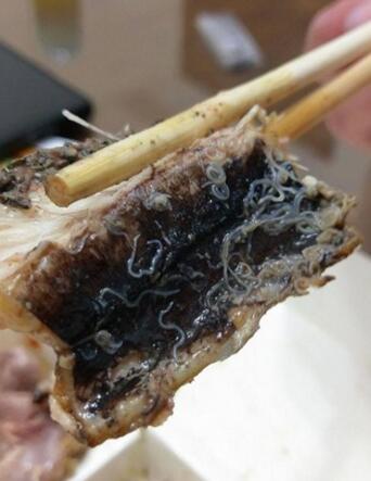 百元魚肚盒飯翻開“滿滿都是蟲” 網友:活尸末日 百元魚肚盒飯翻開“滿滿都是蟲” 網友:活尸末日