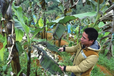 Ҋ²ֵ؅^(q)ܞ ߲ˇҺԱ