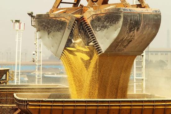 東北“嚴(yán)打”轉(zhuǎn)基因 或已有非法轉(zhuǎn)基因種子流入 東北“嚴(yán)打”轉(zhuǎn)基因 或已有非法轉(zhuǎn)基因種子流入