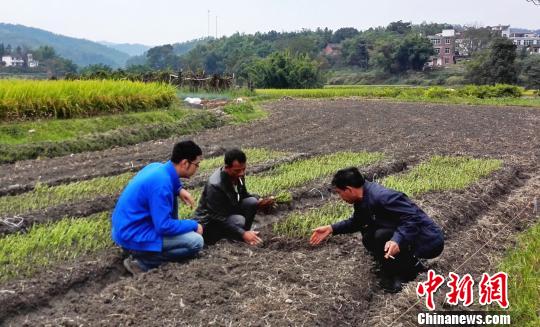 벿ίنTlh֧һӛMϷؚ