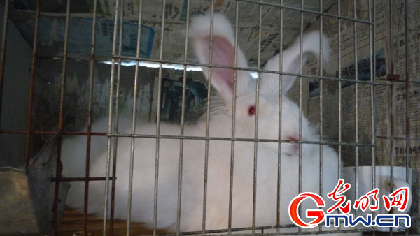 W(wng)j(lu)ýwD(zhun)ġZˮh(zhn)ؚ˦Fñӡ