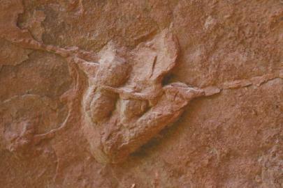 ���������Ŀ������E��