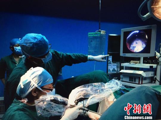 㽭ϣ֮⡱o˲³t(y)ջ