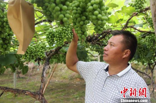 FݣڡL塱ar(nng)̰塱ؚˮ