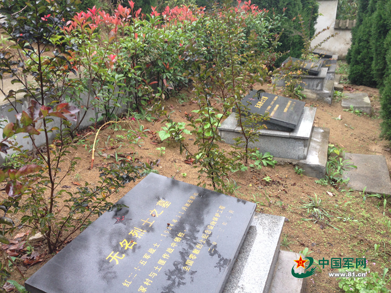 【網絡媒體走轉改】守陵老人:讓紅25軍烈士“回家”! 【網絡媒體走轉改】守陵老人:讓紅25軍烈士“回家”!