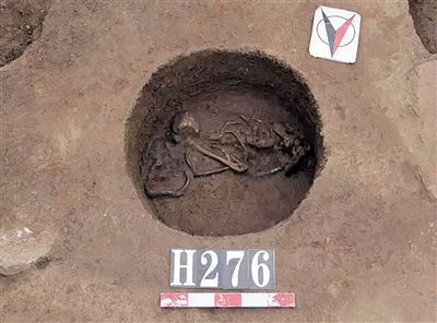 首座火燒痕跡大溪文化墓葬出土 墓主人蜷身而臥 首座火燒痕跡大溪文化墓葬出土 墓主人蜷身而臥