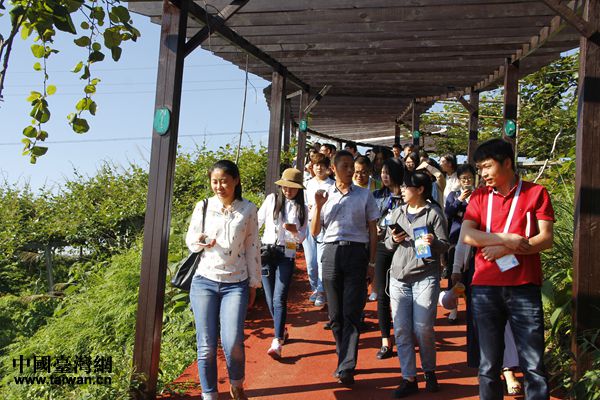 【砥礪奮進(jìn)的五年·聚焦大數(shù)據(jù)】貴州修文:智慧大數(shù)據(jù)助力產(chǎn)業(yè)精準(zhǔn)化 【砥礪奮進(jìn)的五年·聚焦大數(shù)據(jù)】貴州修文:智慧大數(shù)據(jù)助力產(chǎn)業(yè)精準(zhǔn)化