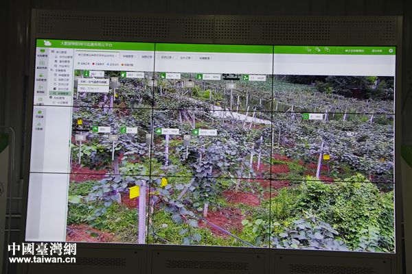 【砥礪奮進(jìn)的五年·聚焦大數(shù)據(jù)】貴州修文:智慧大數(shù)據(jù)助力產(chǎn)業(yè)精準(zhǔn)化 【砥礪奮進(jìn)的五年·聚焦大數(shù)據(jù)】貴州修文:智慧大數(shù)據(jù)助力產(chǎn)業(yè)精準(zhǔn)化