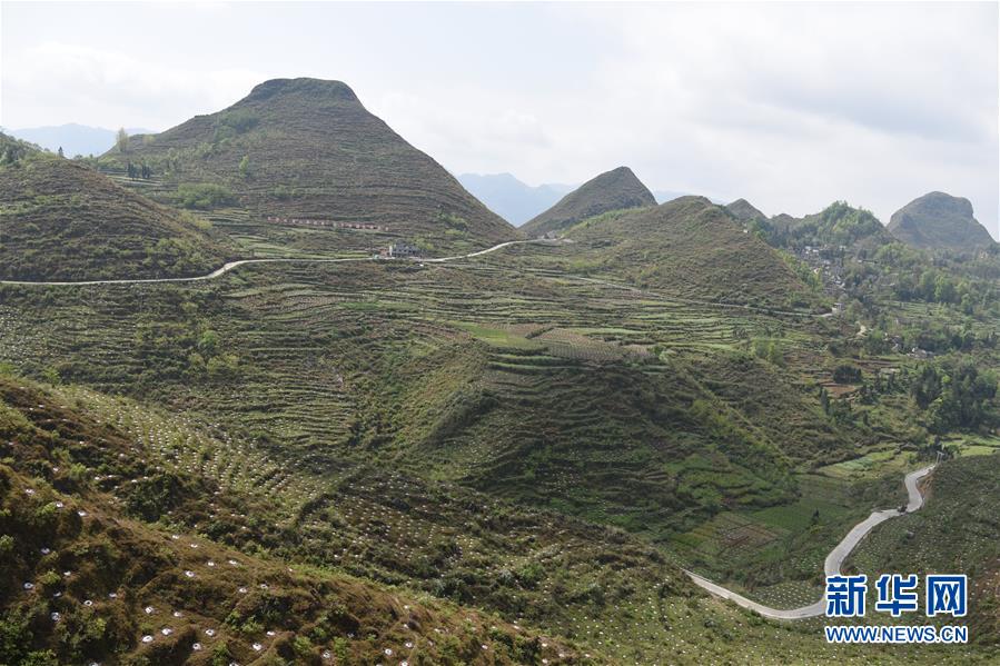 (決戰(zhàn)決勝脫貧攻堅(jiān)·圖文互動)(1)逐項(xiàng)逐戶排查補(bǔ)齊脫貧攻堅(jiān)“短板”——貴州晴隆縣扶貧一線工作見聞