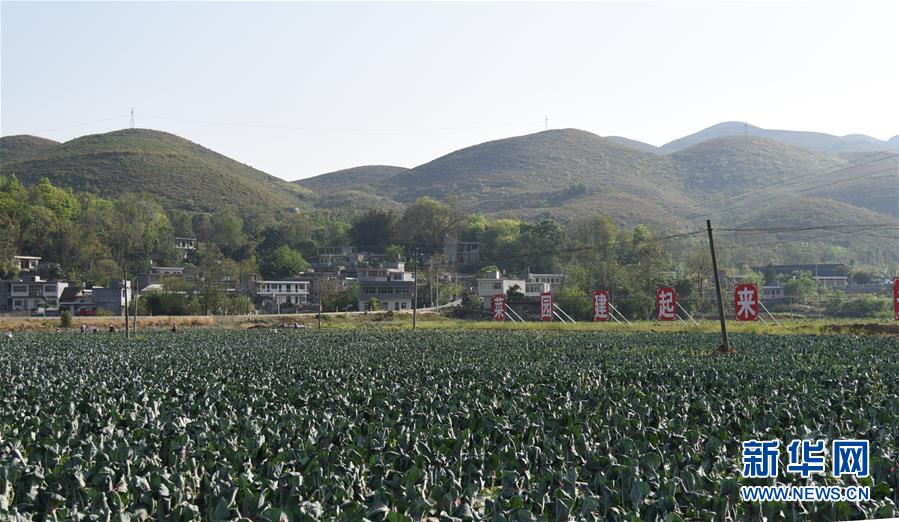 (決戰(zhàn)決勝脫貧攻堅(jiān)·圖文互動)(2)逐項(xiàng)逐戶排查補(bǔ)齊脫貧攻堅(jiān)“短板”——貴州晴隆縣扶貧一線工作見聞