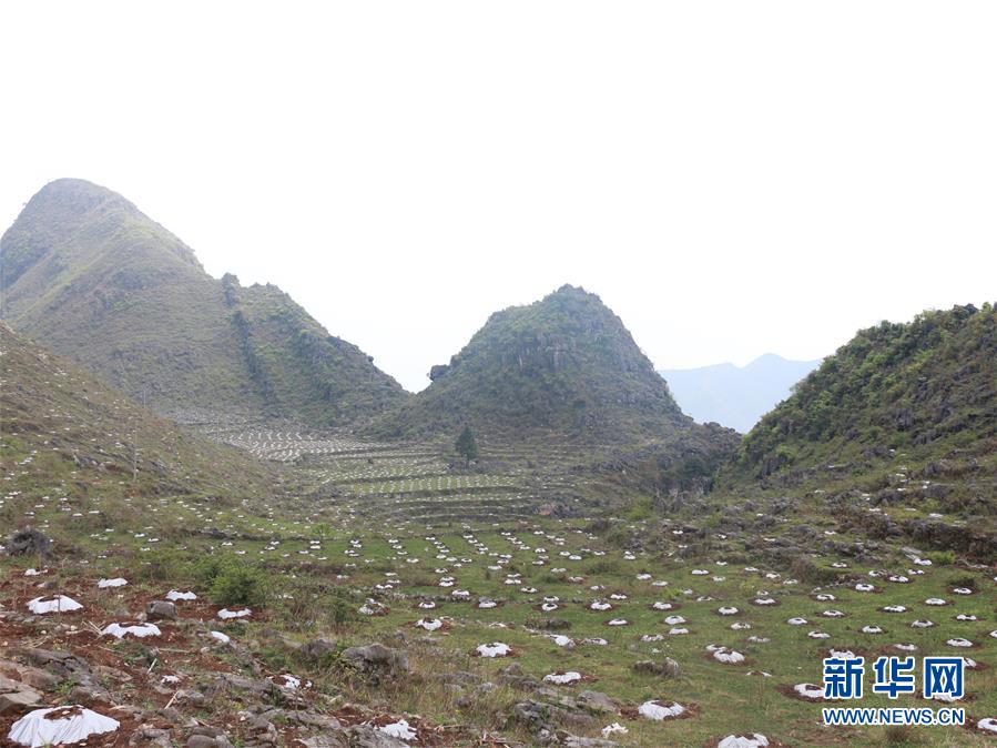 (決戰(zhàn)決勝脫貧攻堅(jiān)·圖文互動)(4)逐項(xiàng)逐戶排查補(bǔ)齊脫貧攻堅(jiān)“短板”——貴州晴隆縣扶貧一線工作見聞