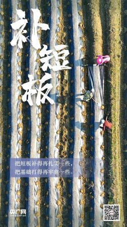 這個令人矚目的奇跡,發生在中國!