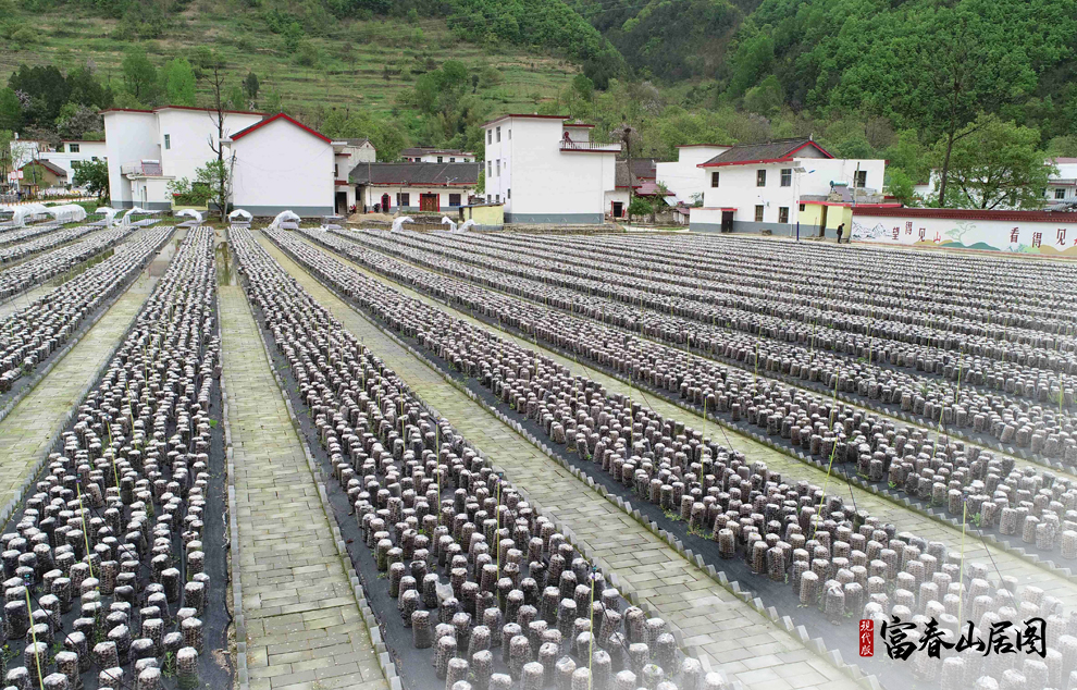 @2020421ĔzˮhСX(zhn)״ĵľo(w)˙C(j)Ƭ