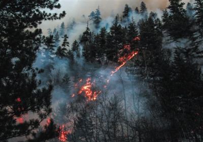 山林滅火員:攀懸崖絕壁救火 洗澡就是幸福 山林滅火員:攀懸崖絕壁救火 洗澡就是幸福