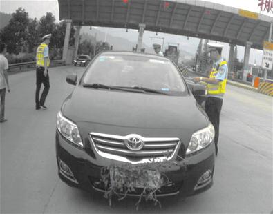 女司機用草根遮擋號牌 涉事司機:被風吹的