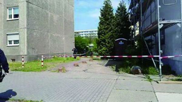 發(fā)現(xiàn)李洋潔尸體的灌木叢。