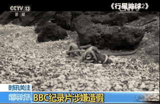 但據(jù)英國(guó)媒體報(bào)道,這一幕是合成的。