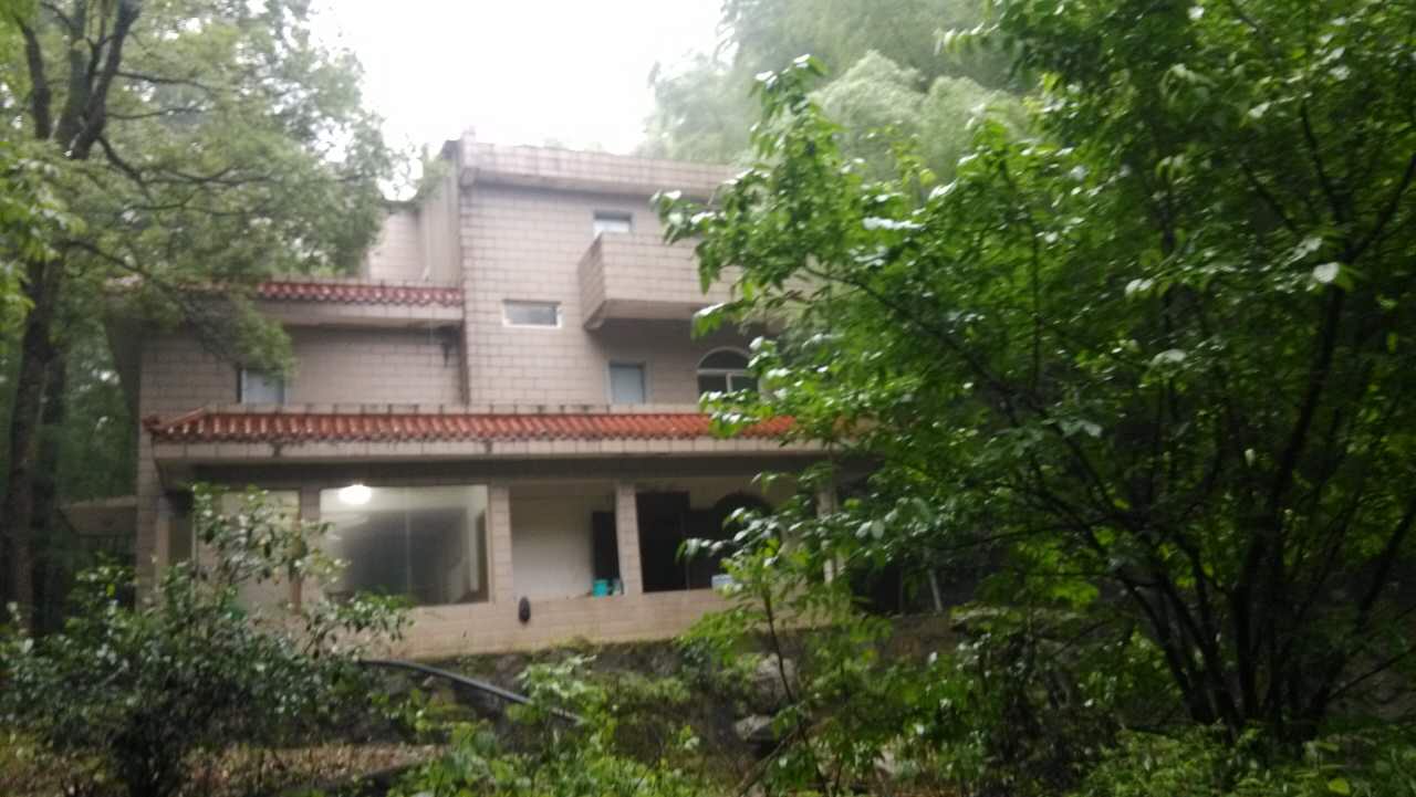 1994�꣬�_(t��i)�������x�ď]�_(t��i)���خa(ch��n)��˾ُ�þŽ��Џ]���e��13̖���a(ch��n)