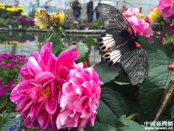 ȫW(wng)jýwMЇؚһ塪ϪЇ_W(wng)ӛ  z